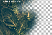 Realistic Spray Paint Mist Texture, a Texture Graphic by Ary_ngeblur (Thumbnail 6 of 8)