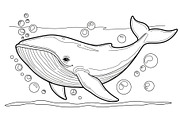 Whale Line Art Vector Bundle, an Illustration by yasushie (Thumbnail 37 of 51)