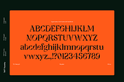 TA Charged, a Serif Font by TAFT Foundry (Thumbnail 8 of 19)