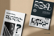 Bourgie Deco a ArtDeco Font, a Serif Font by Rasiorise Studio (Thumbnail 8 of 9)