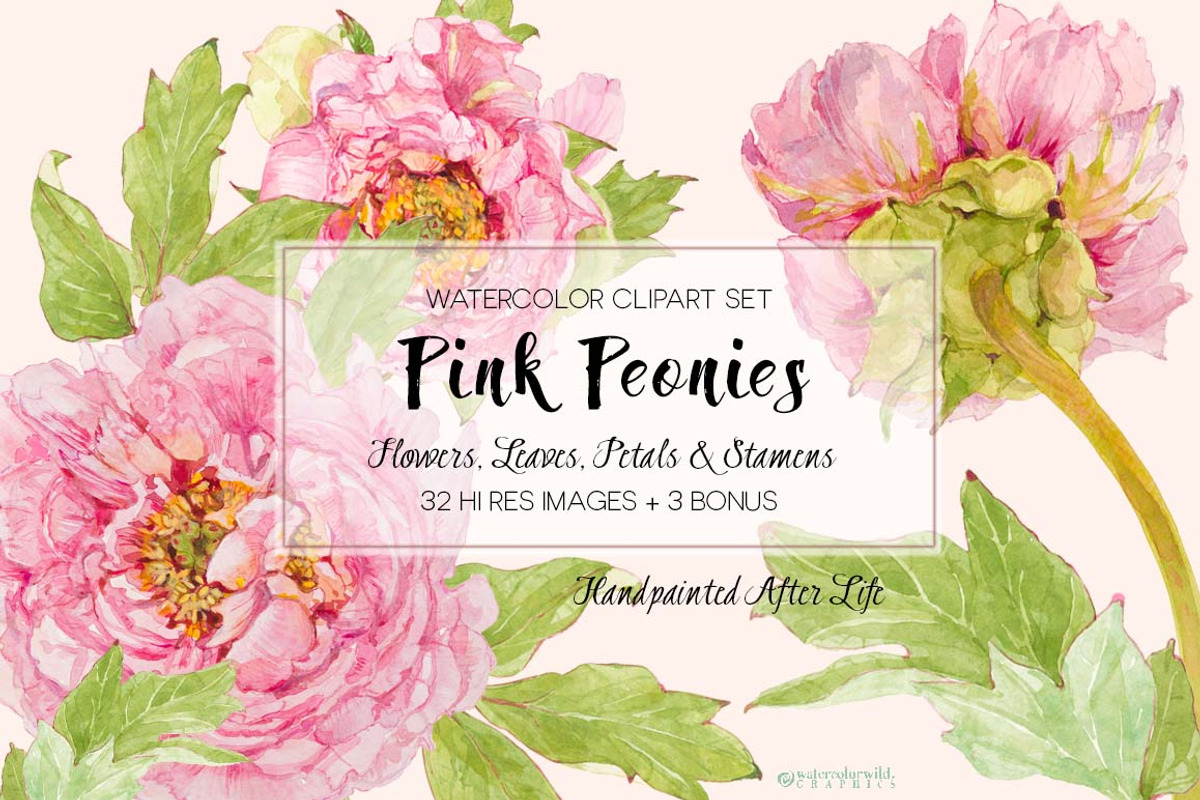 Pink Peonies-Clipart Set, an Illustration by watercolorwild.graphics (Photo 4 of 9)