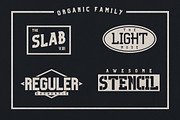Organic Family - 50% OFF, a Slab Serif Font by giemons™ (Thumbnail 2 of 5)