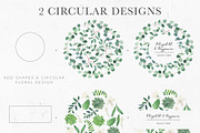 Modern Botanicals Florals & Leaves, an Illustration by Momo Studio (Thumbnail 10 of 15)