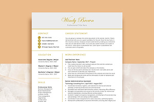 Modern Professional Resume Template