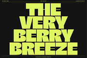 BN Giant, a Sans Serif Font by Bnick (Thumbnail 5 of 19)