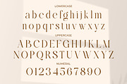 Reglica - Modern Elegant Luxury, a Serif Font by Qweera Studio (Thumbnail 12 of 12)