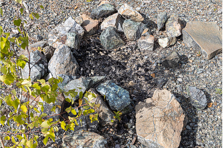Gray and brown big stones and pine, a Nature Photo by Illustrations&photos