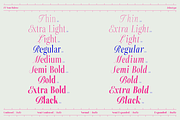 ZT Neue Ralewe Luxury Serif 90 Font, a Serif Font by zelow type (Thumbnail 2 of 24)