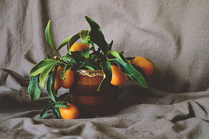 Still life with orange containing still life, art, and still life flowers