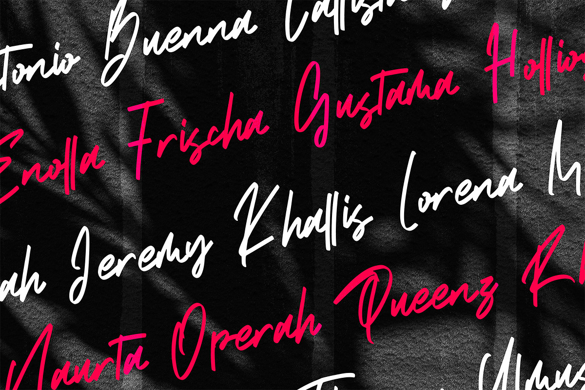 Santy Ehisa - Stylish Script Font preview 6