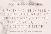 Celine - Chic Ligature Sans & Extras, a Sans Serif Font by SilverStag Type Foundry (Thumbnail 19 of 23)