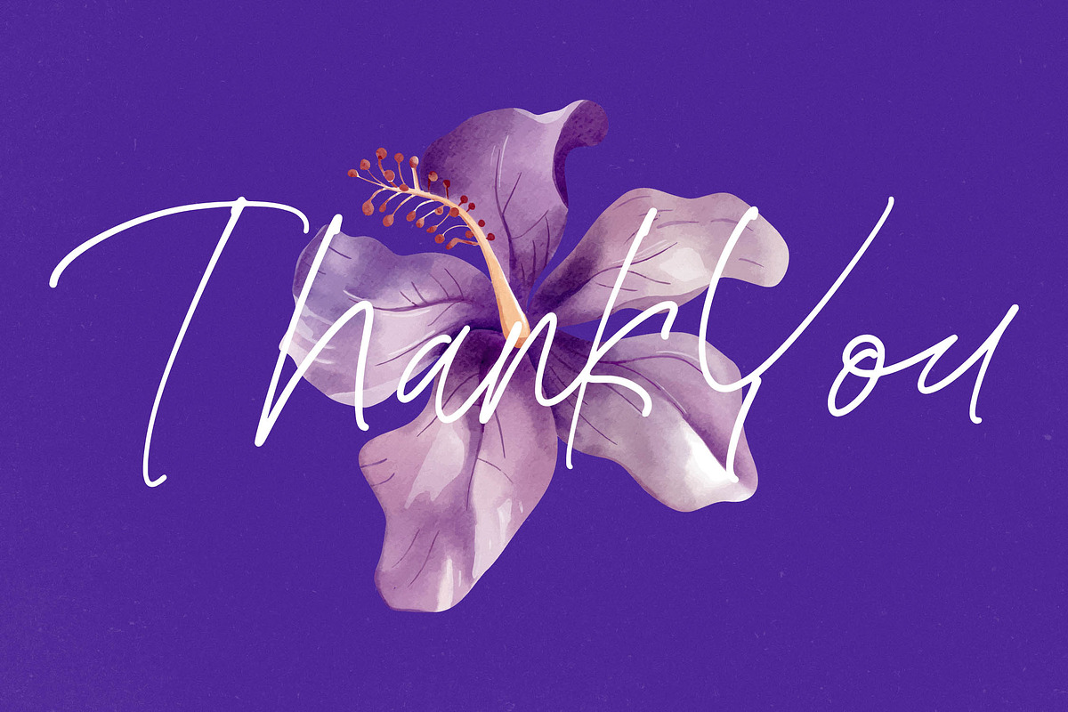 Bestnight Tropicals Ballpoint Script, a Script Font by stylishtype.co (Photo 20 of 20)