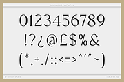Walknoice - Modern Stylish, a Serif Font by RockboyStd (Thumbnail 10 of 12)