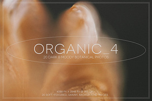 Organic 4 | 20 Botanical Photos