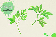 North American Herbs, a Food Illustration by Graphobia (Thumbnail 15 of 21)