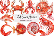 Red Ocean Animals Sublimation PNG Bu, an Illustration by DreamArtGraphic (Thumbnail 1 of 4)