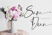 Silentgraph, a Script Font by din-studio.com (Thumbnail 4 of 10)