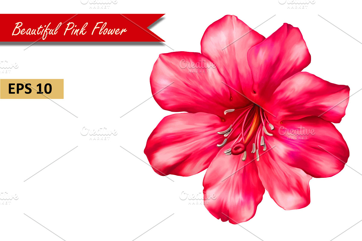 Beautiful Pink Flower. Vector, an Object Graphic by Art Nature