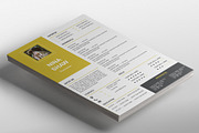 Perseus Resume Template, a Templates & Theme by Nina Shaw (Thumbnail 1 of 8)
