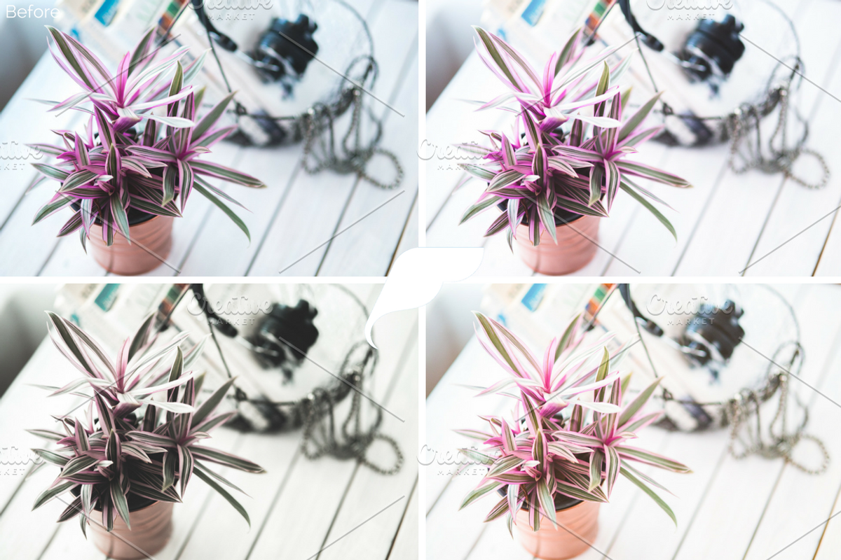 Blogger Lightroom Presets Vol I, an Action Add-On by Filtercrave (Photo 4 of 9)