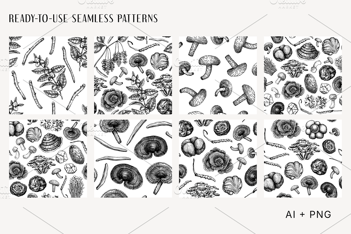 Medicinal Mushrooms & Plants Set, a Healthcare Illustration by Yevheniia (Photo 9 of 12)