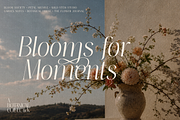 Thereon - Modern Romantic Serif Font, a Serif Font by VP Fonts (Thumbnail 16 of 21)