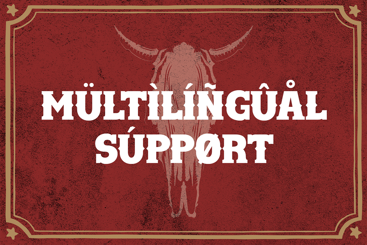 Western Hornet - Display Font, a Font by Pekotype (Photo 10 of 14)