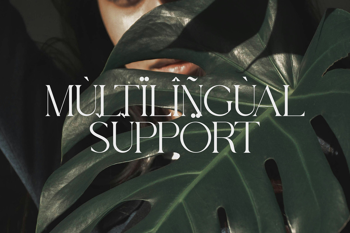 Thoca -New Modern Typface, a Serif Font by AnnofaType (Photo 8 of 8)