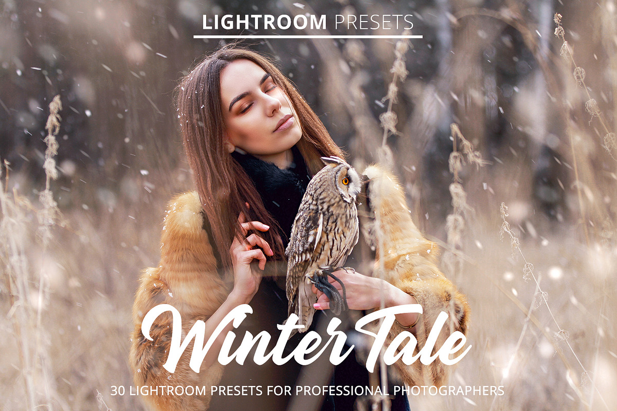 Winter Tale Presets, a Plug-in Add-On by FixThePhoto (Photo 1 of 23)