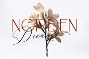 Konesta - Modern Calligraphy Script, a Script Font by Romiecreative (Thumbnail 6 of 10)