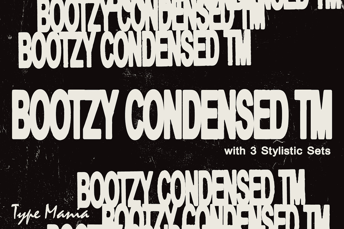 50 TYPE MANIA FONTS // 50% OFF!, a Font by Type Mania (Photo 11 of 51)