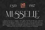 VELOURÉ — Elegance Luxury Serif, a Serif Font by ToniStudio (Thumbnail 13 of 13)