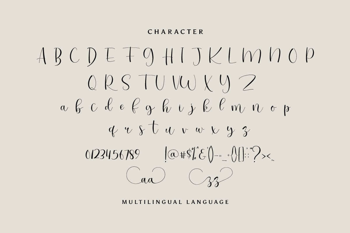 Rashany Modern Script Font, a Script Font by sizimon (Photo 7 of 7)