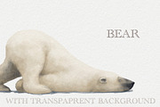 White Polar Bear, an Animal Illustration by sheincar (Thumbnail 1 of 2)