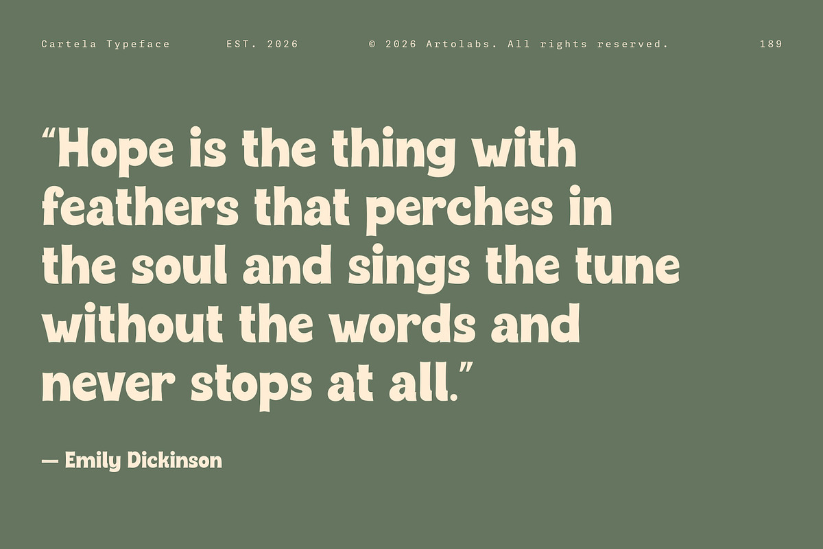 Cartela | A Playful & Bold Sans Font, a Sans Serif Font by Artolabs (Photo 14 of 14)