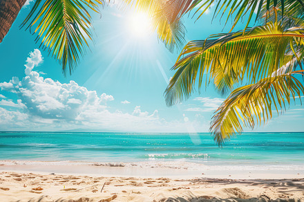 A tropical beach with palm trees, a Nature Photo by Virgo Studio