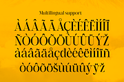 Jarekuh, a Serif Font by Differentialtype (Thumbnail 9 of 10)