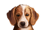 Dogs Cross Breeds 56 Animals Bundle, an Animal Illustration by Dneprstock (Thumbnail 21 of 55)