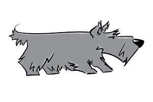 scottish terrier