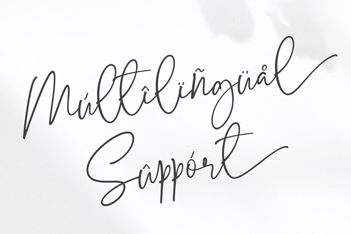 Bolesmith, a Script Font by Sealoung (Photo 17 of 17)