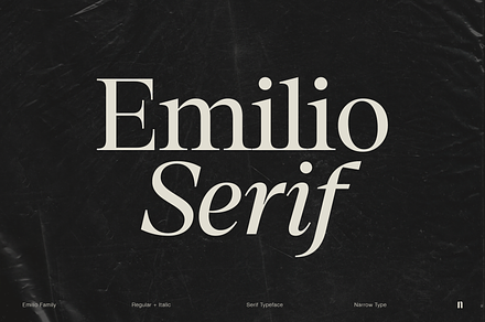 Emilio Serif (Basic Pack), a Serif Font by Narrow Type