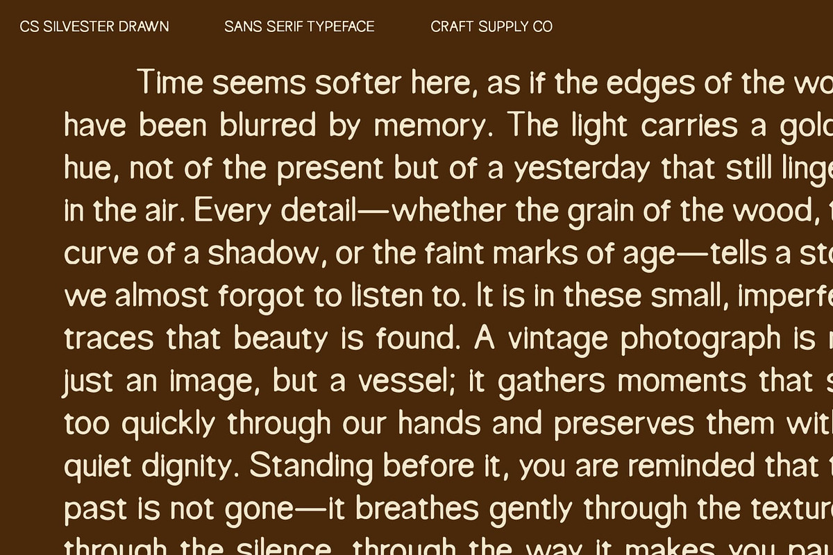 CS Silvester Drawn, a Sans Serif Font by Craft Supply Co. (Photo 3 of 8)