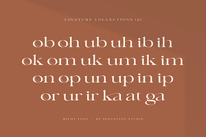 Richy - Unique Chic Font