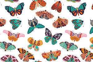 Spring Butterflies And Moths