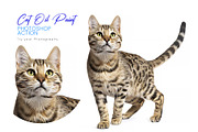 Cat and Pet Oil Painting, an Action Add-On by MRI STUDIO (Thumbnail 2 of 17)