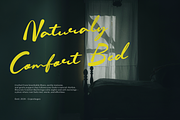 Dwimsy Mellowdi | Handwritten Script, a Script Font by gracetype_studio (Thumbnail 2 of 12)