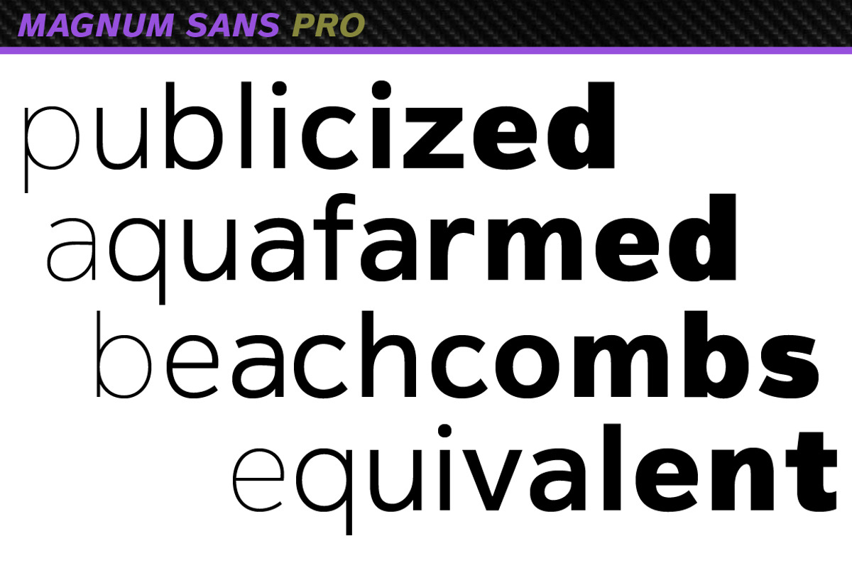 Magnum Sans Pro preview 4