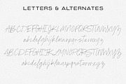 Avanti Casual Script in Bold & Thin, a Script Font by Jen Wagner Co (Thumbnail 13 of 14)