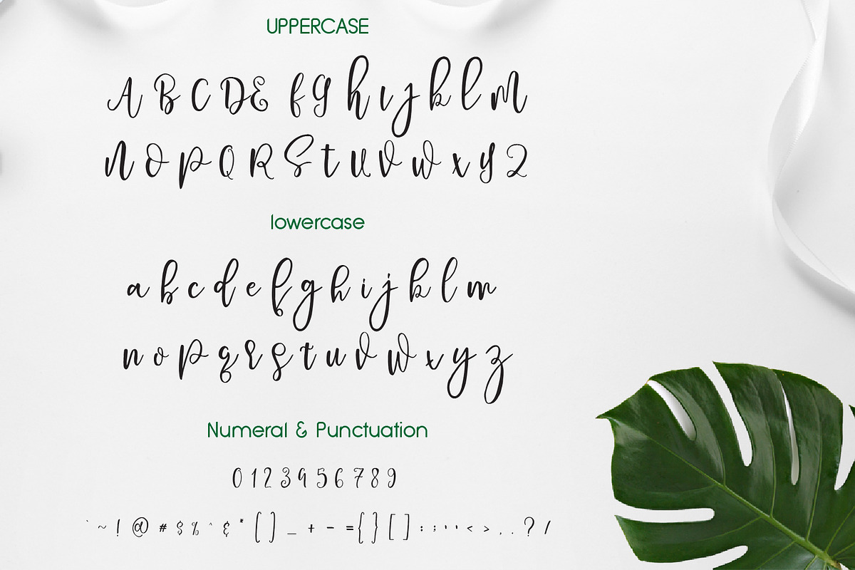 Pavlova Script, a Script Font by adelaide (Photo 2 of 5)