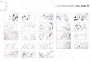 Silent Tiny Plants, a Nature Photo by Lumeno (Thumbnail 2 of 4)